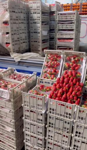 بارفروشی حاج مهدی محمدی