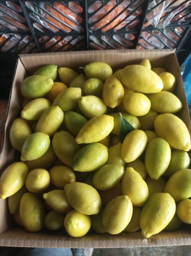 عکس بارفروشی حاج مهدی محمدی