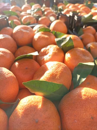 بارفروشی حاج مهدی محمدی