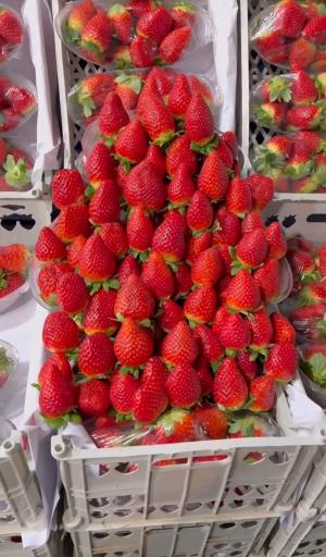 بارفروشی حاج مهدی محمدی