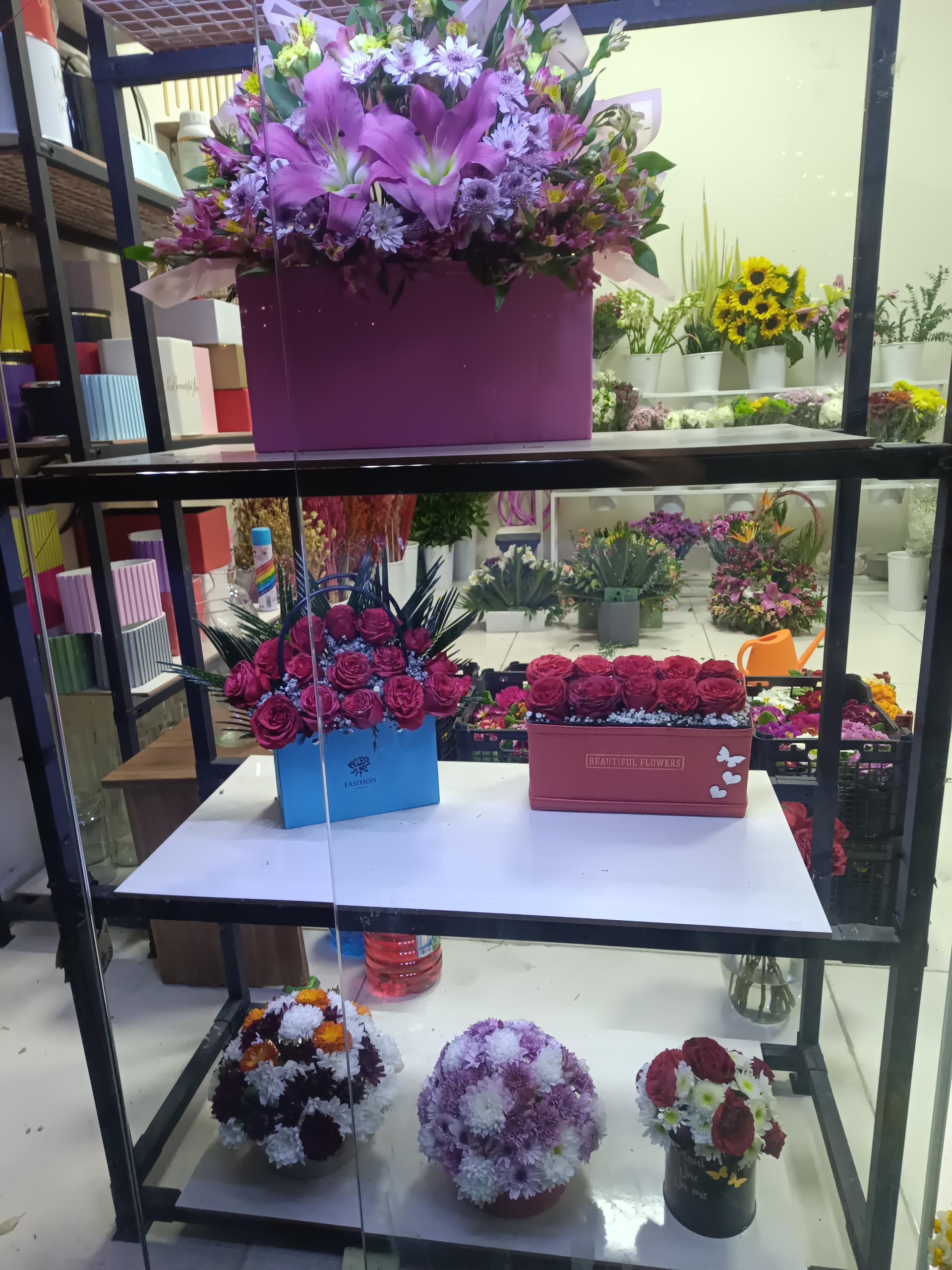 عکس گل فلامور