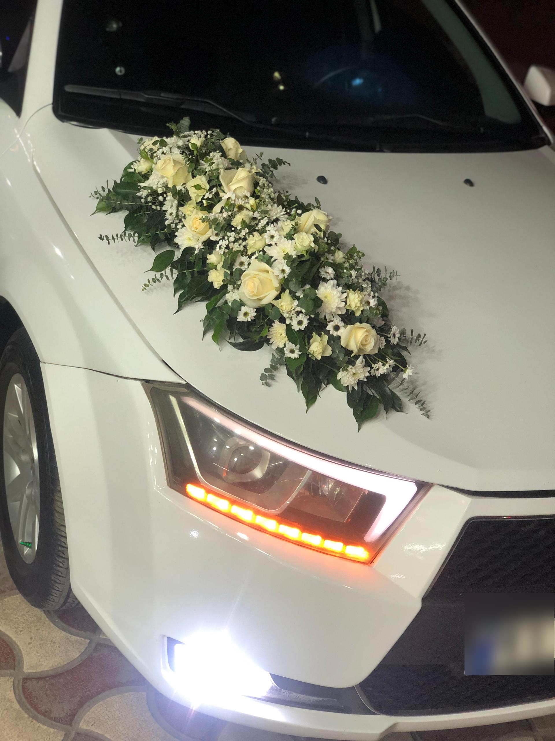 عکس گل فروشی شقایق رمضانی