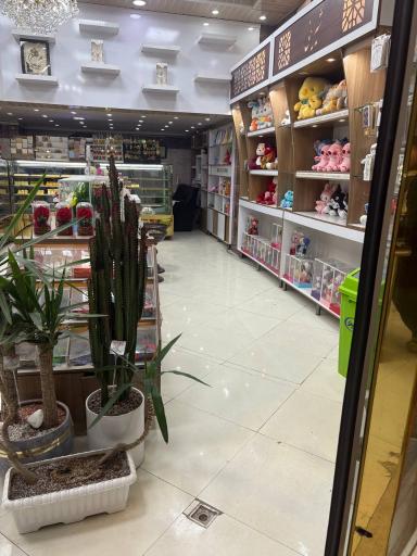 عکس نان و شیرینی آوا