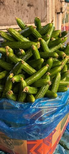 عکس بارفروشی حاج مهدی محمدی