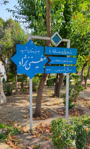 عکس بوستان معین نژاد