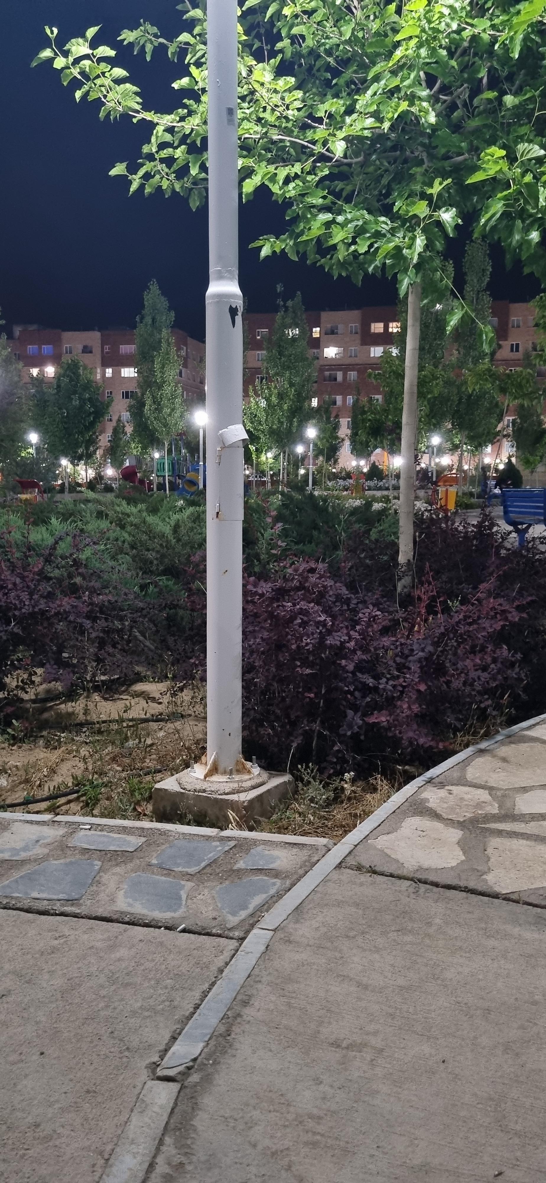 عکس بوستان یلدا