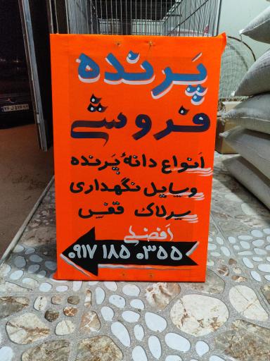 عکس دانه و پرنده فروشی افضلی