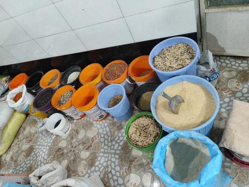 عکس دانه و پرنده فروشی افضلی