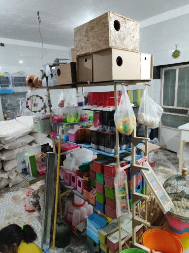 عکس دانه و پرنده فروشی افضلی