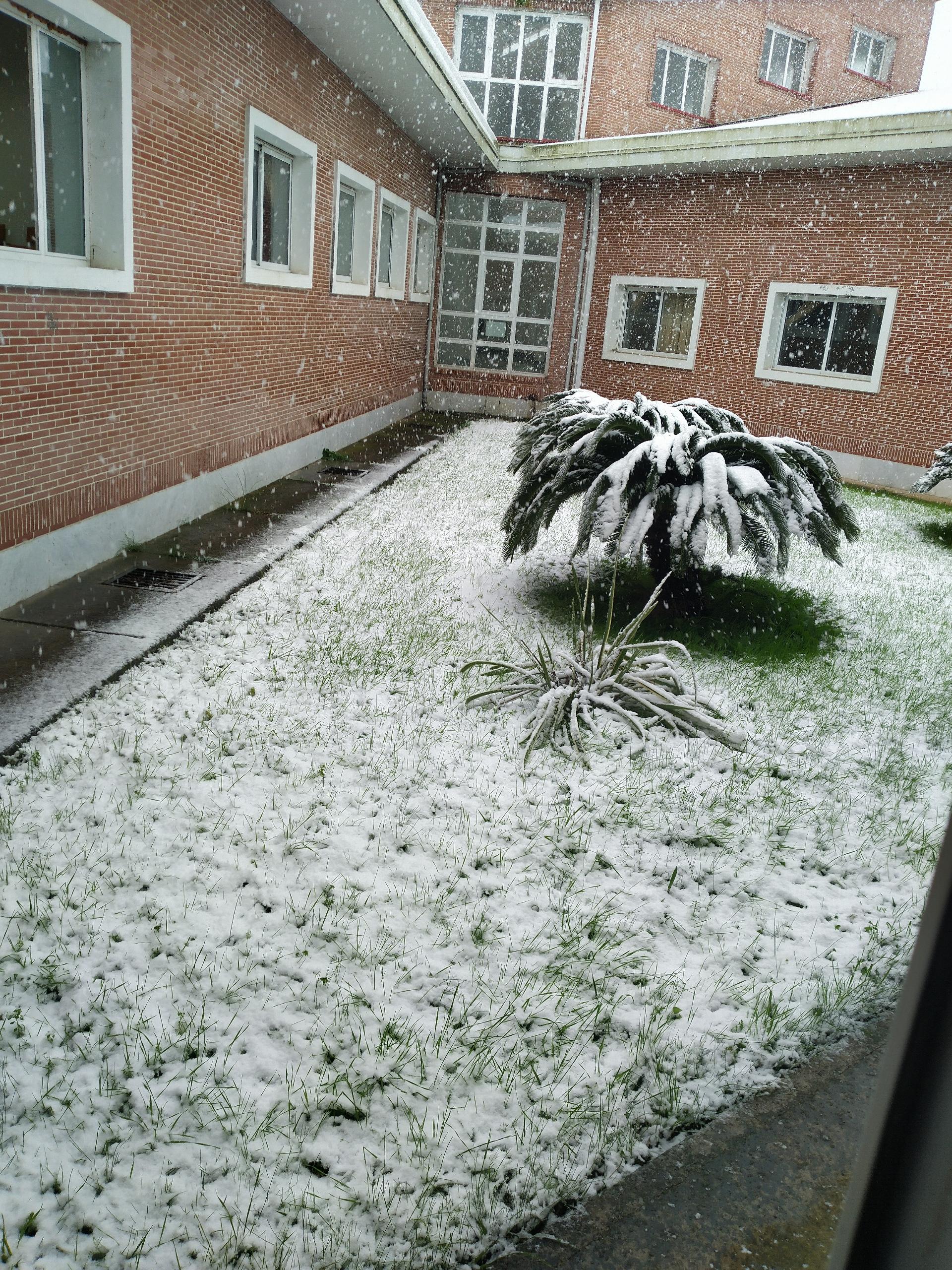 عکس ساختمان ابریشم چیان(دانشگاه گیلان)