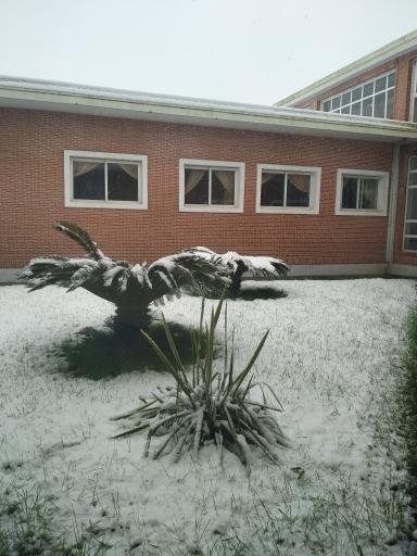 عکس ساختمان ابریشم چیان