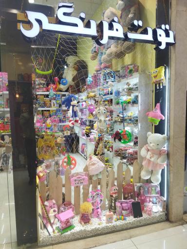عکس فروشگاه اسباب بازی توت‌فرنگی