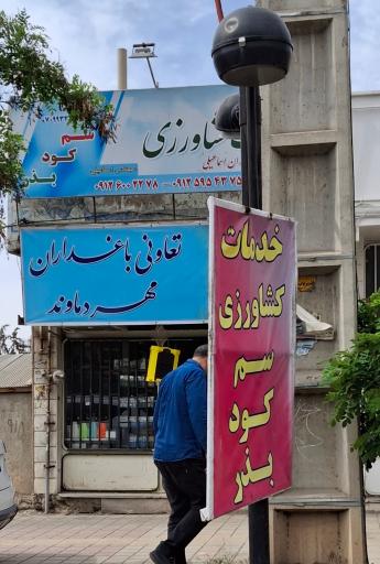 عکس خدمات کشاورزی 