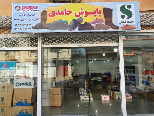 عکس پاپوش حامدی