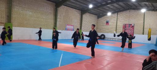 عکس آکادمی تخصصی دفاع شخصی فاتحان استاد علی سلیمانی