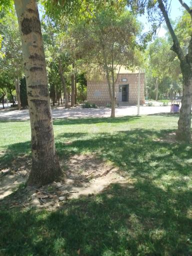 سرویس بهداشتی