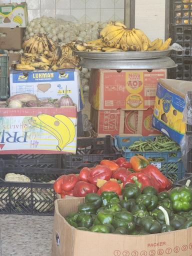 عکس میوه فروشی برادران مسعودی