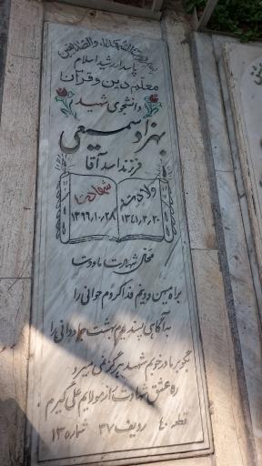 عکس مزار شهید بهزاد سمیعی