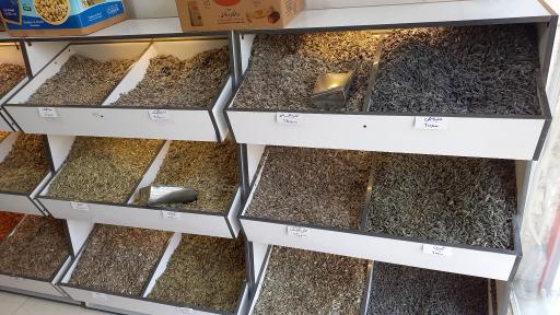 عکس تخمه داغ آفتابگردان