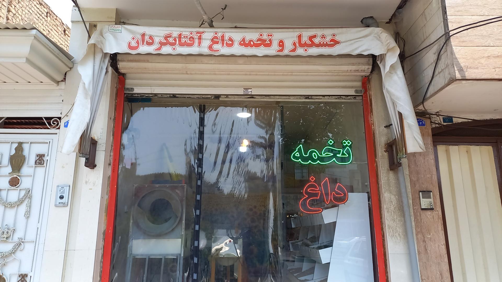عکس تخمه داغ آفتابگردان