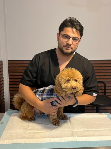 عکس کلینیک تخصصی دامپزشکی دکتر بهزاد شفیعی