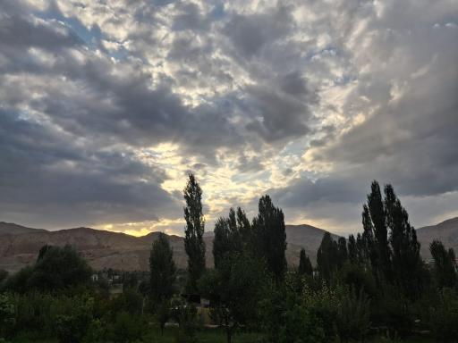 عکس ارجمند