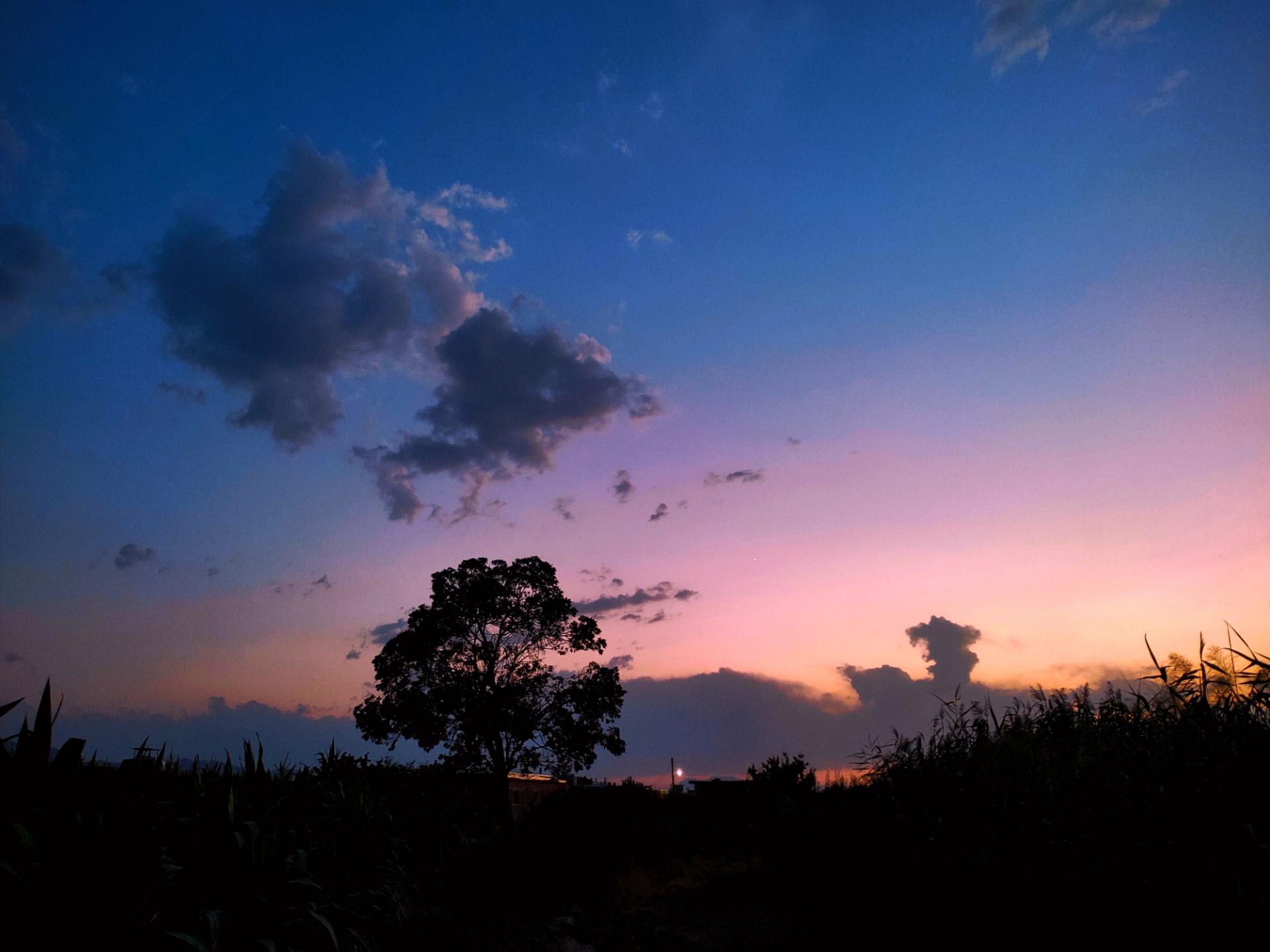 عکس آتلیه کورد فیلم