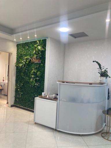 عکس سالن زیبایی افرا