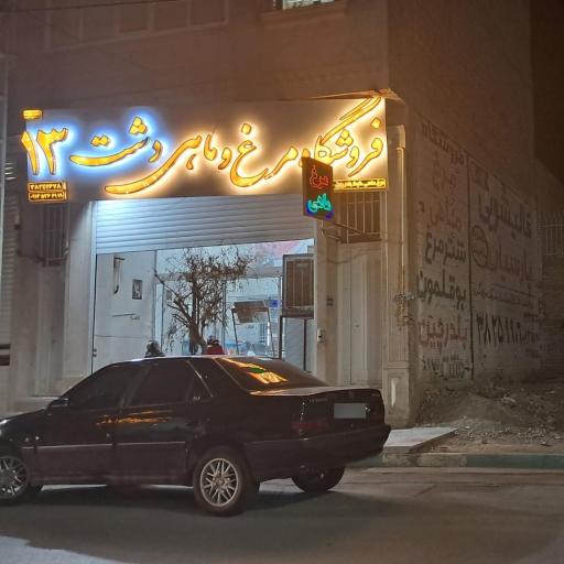 عکس مرغ و ماهی دشت 13