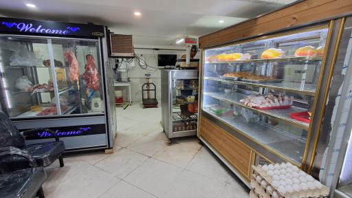 عکس مرغ و ماهی دشت 13