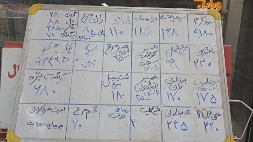 عکس مرغ و ماهی دشت 13