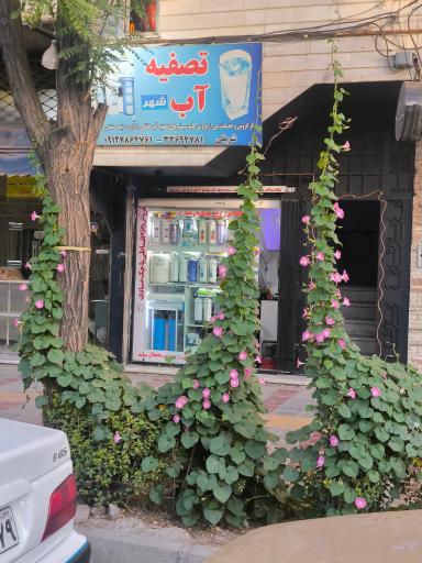 عکس تصفیه آب شهر