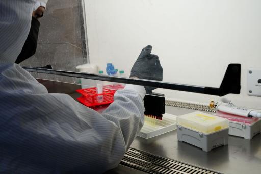 عکس شرکت دانش‌بنیان دارو درمان برنا