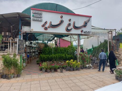 عکس گلباغ‌ غدیر