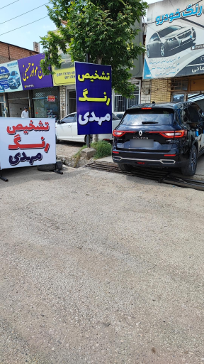 عکس تشخیص رنگ خودرو مهدی