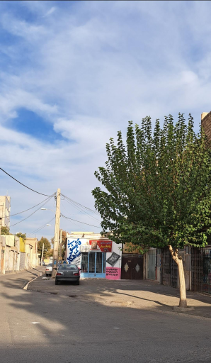 عکس قالیشویی‌ومبل‌شویی‌شاهکار