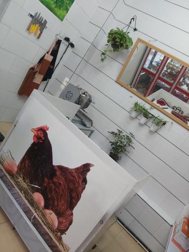 عکس سوپر مرغ شمال محمد