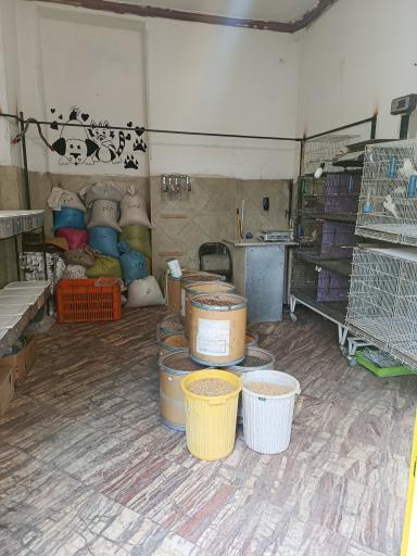 عکس پت شاپ