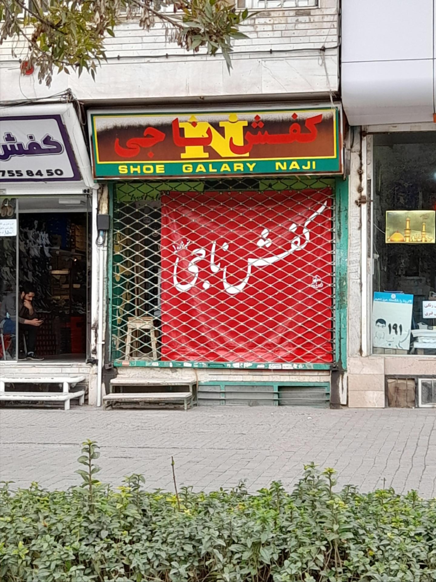 عکس کفش ناجی