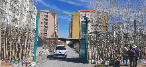 عکس نهالستان قربانی