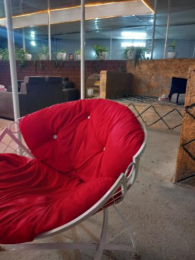 عکس باغچه دالیا