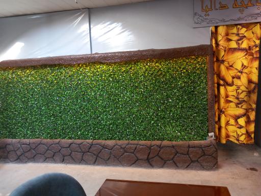 عکس باغچه دالیا