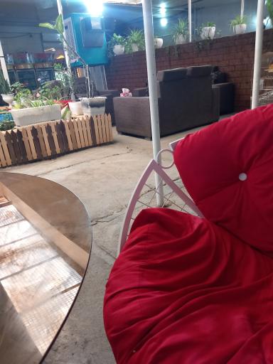 عکس باغچه دالیا