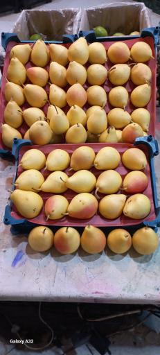 عکس سوپر میوه دوستان