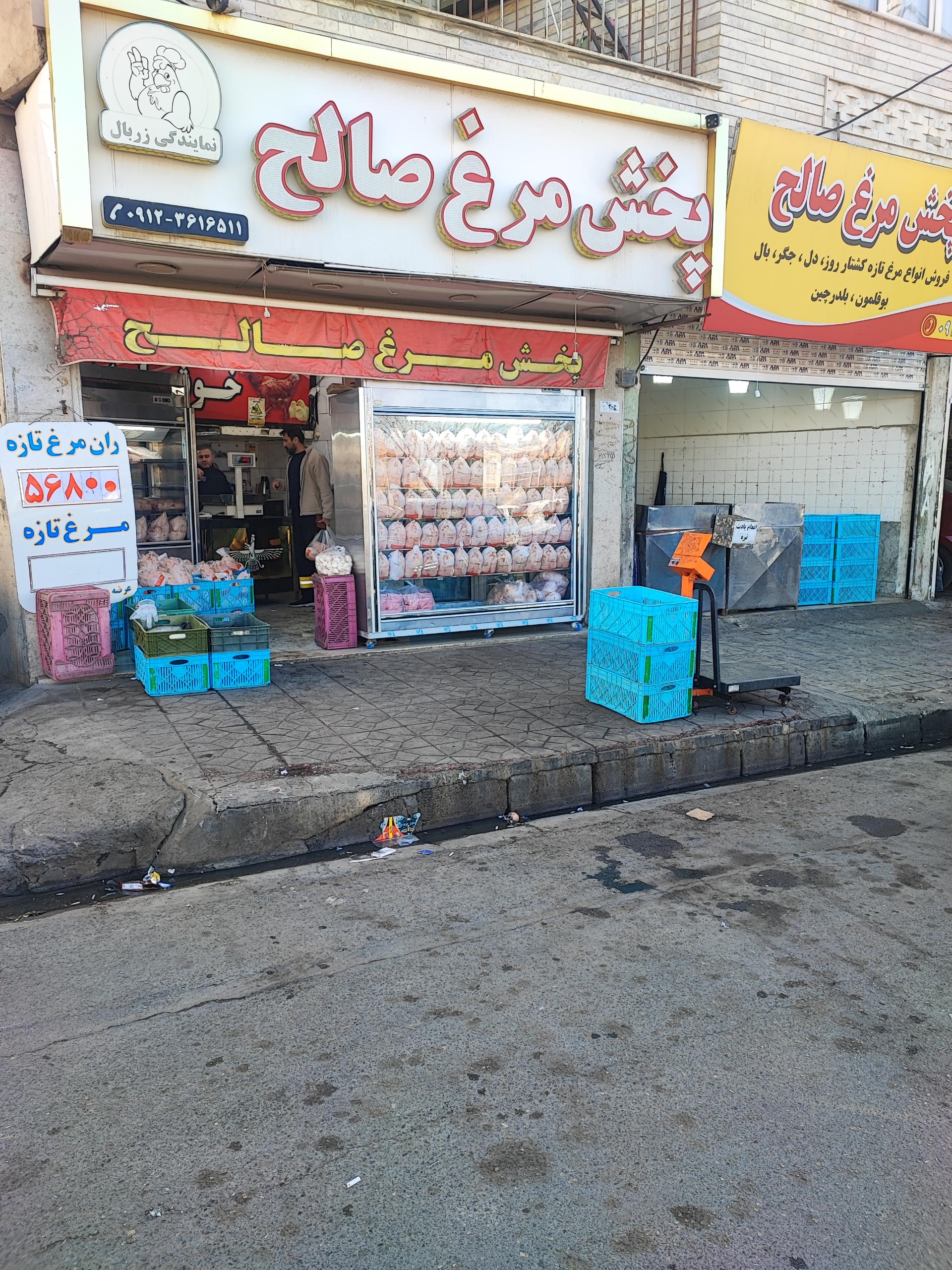 عکس پخش مرغ و ماهی صالح