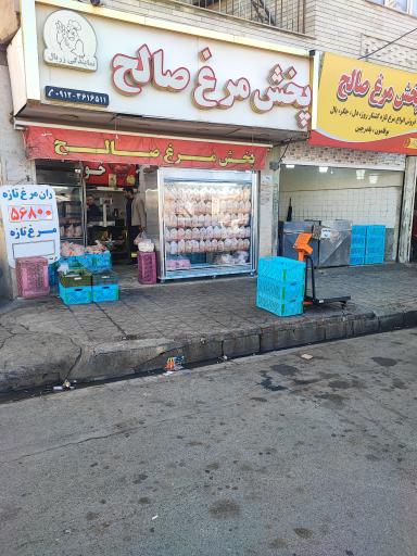 عکس پخش مرغ و ماهی صالح