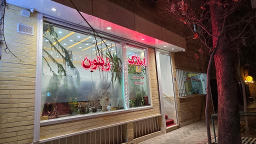 عکس گروه مشاورین املاک زیتون