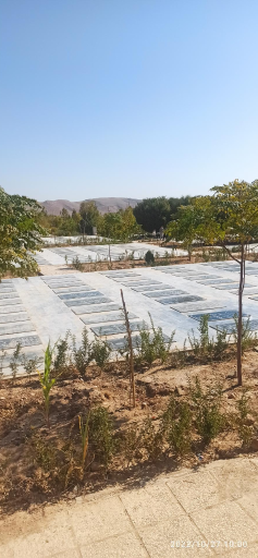 عکس آرامستان بهشت احمدی