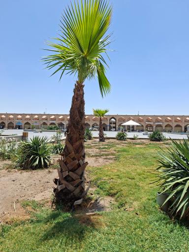 عکس میدان امام علی (سبزه میدان)