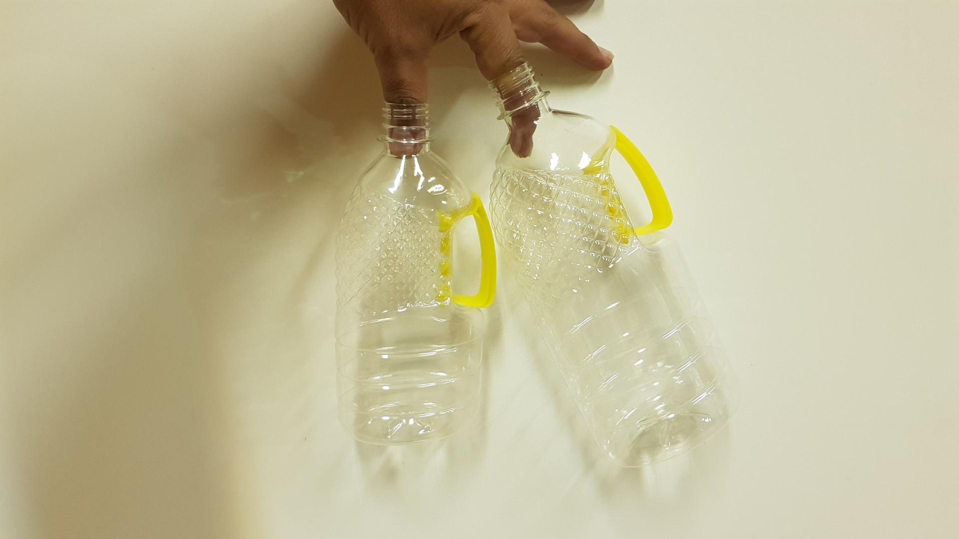 عکس صدرا پت